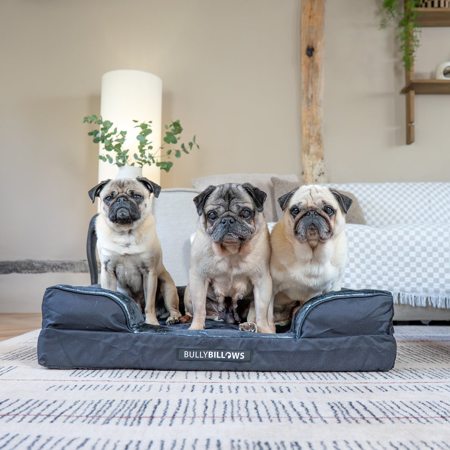 Dog Bed Cover | Black