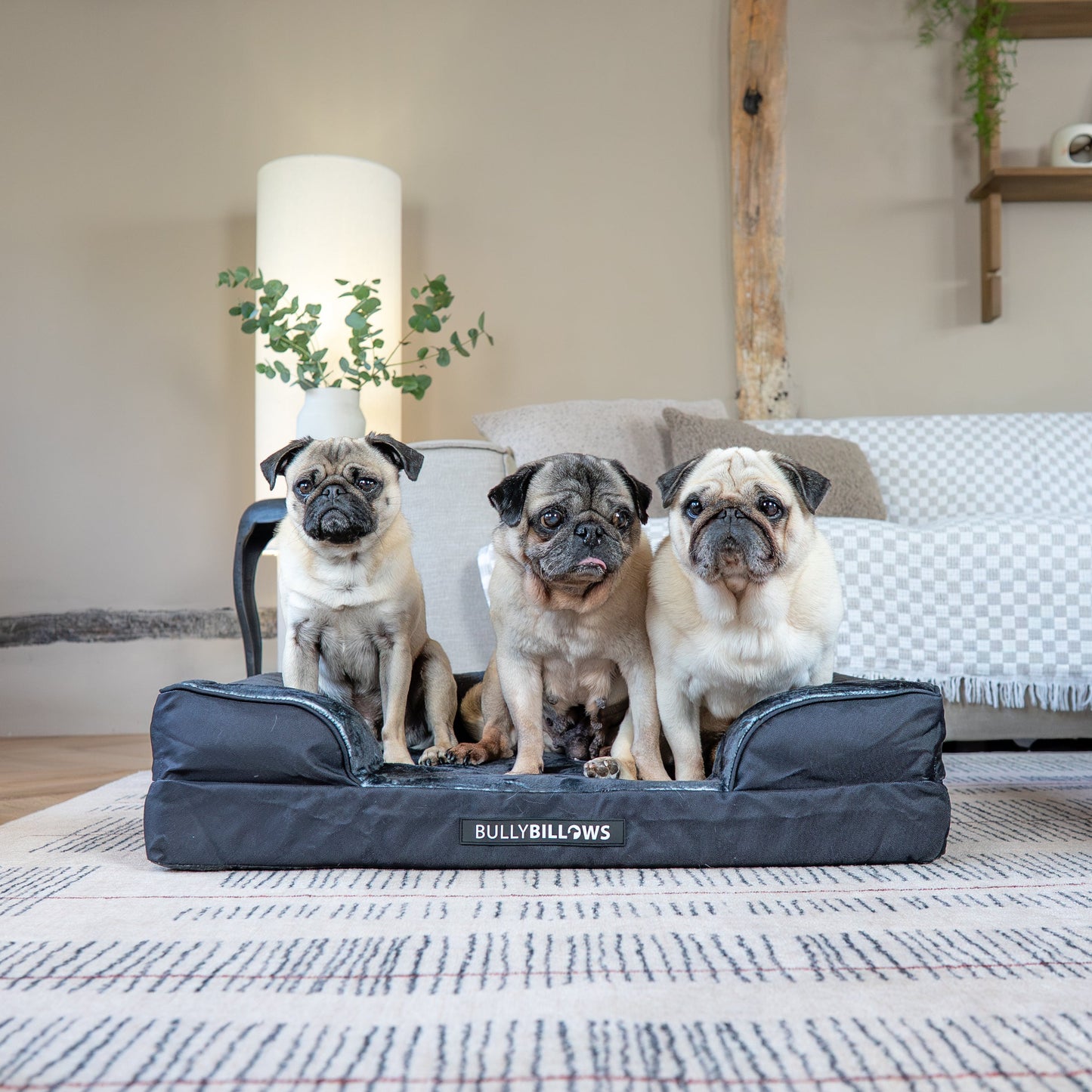 Dog Bed Cover | Black
