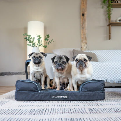 Dog Bed Cover | Black