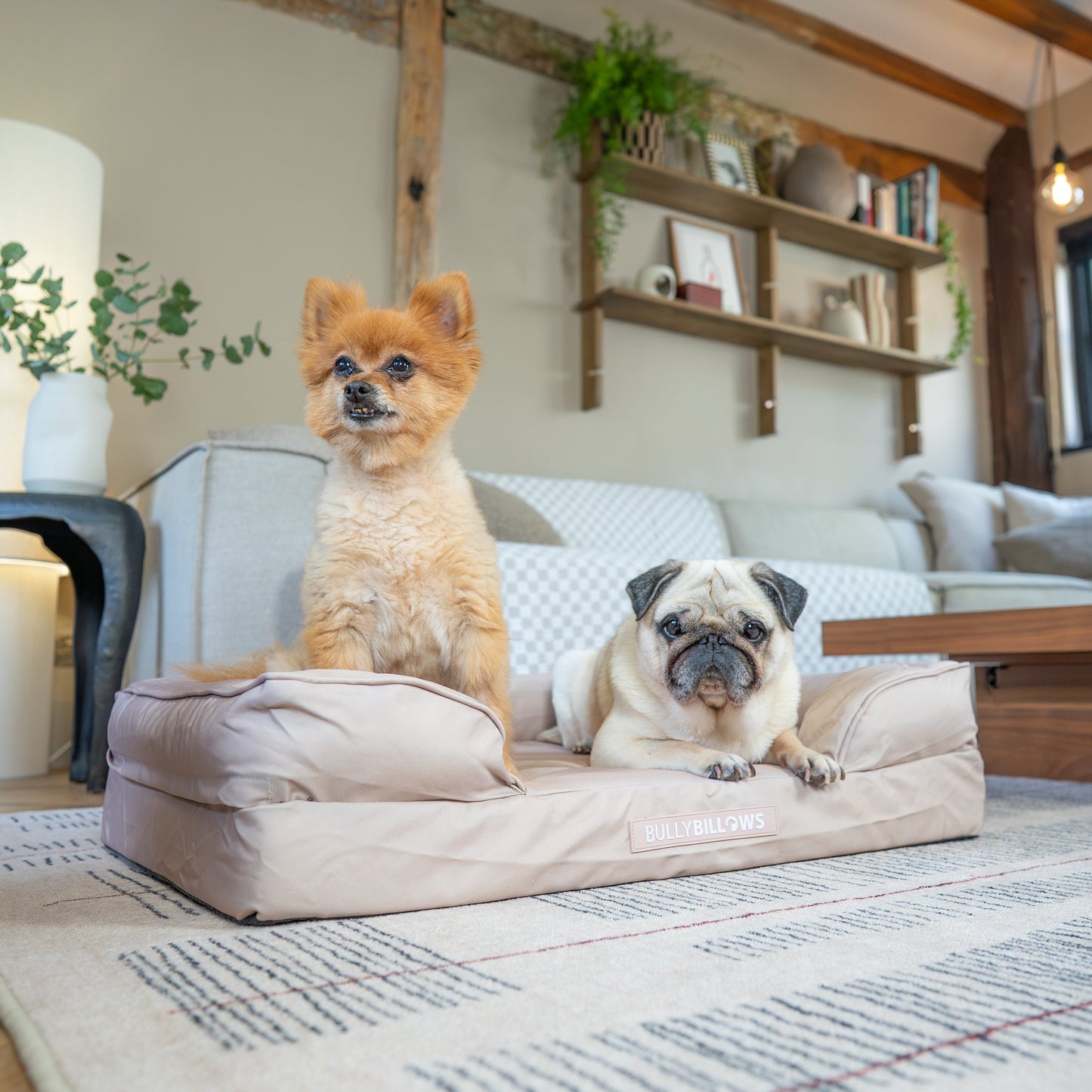 Dog Bed Cover | Beige