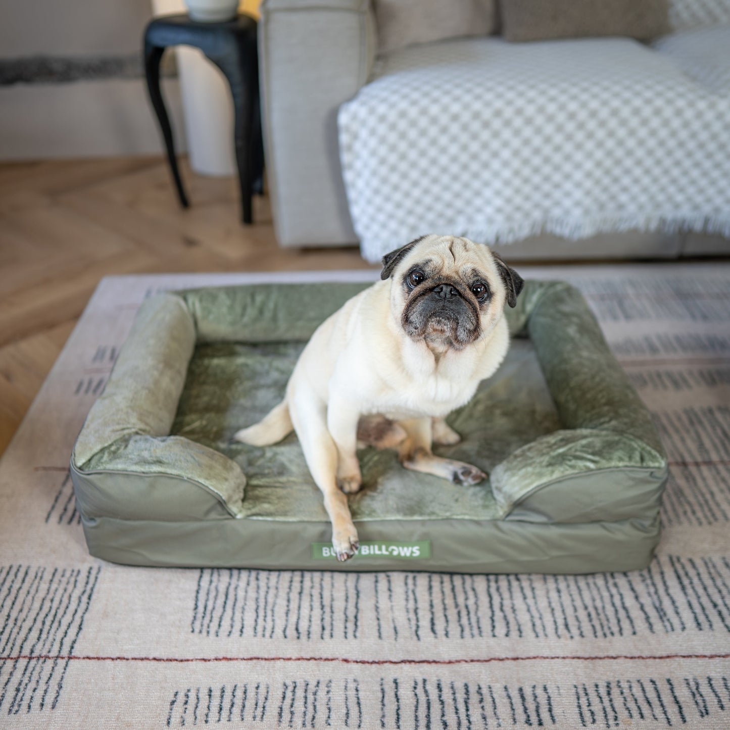 Dog Bed Cover | Sage