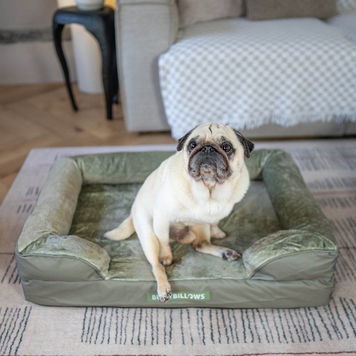 Dog Bed Cover | Sage