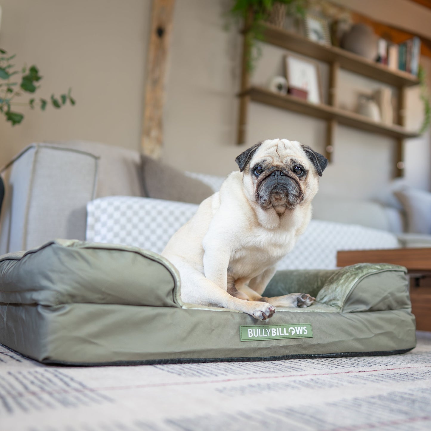 Dog Bed Cover | Sage
