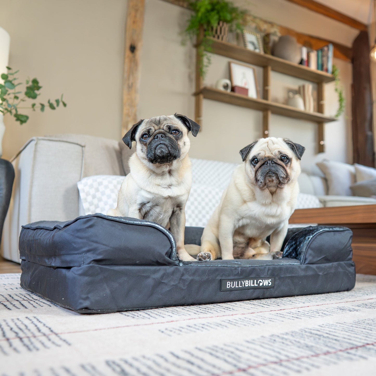 Dog Bed Cover | Black